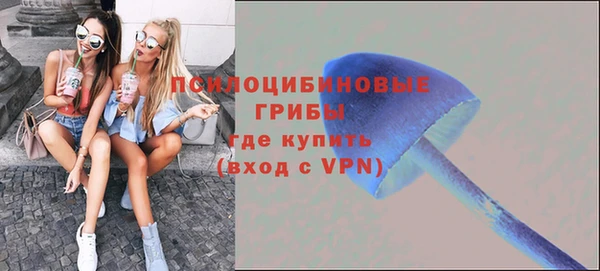 гидра Горняк