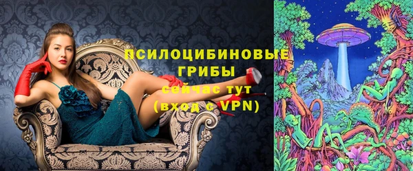 mdpv Алзамай