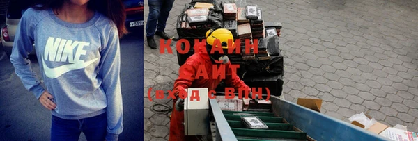 прущие грибы Алексеевка