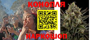 гидропоника Татарск