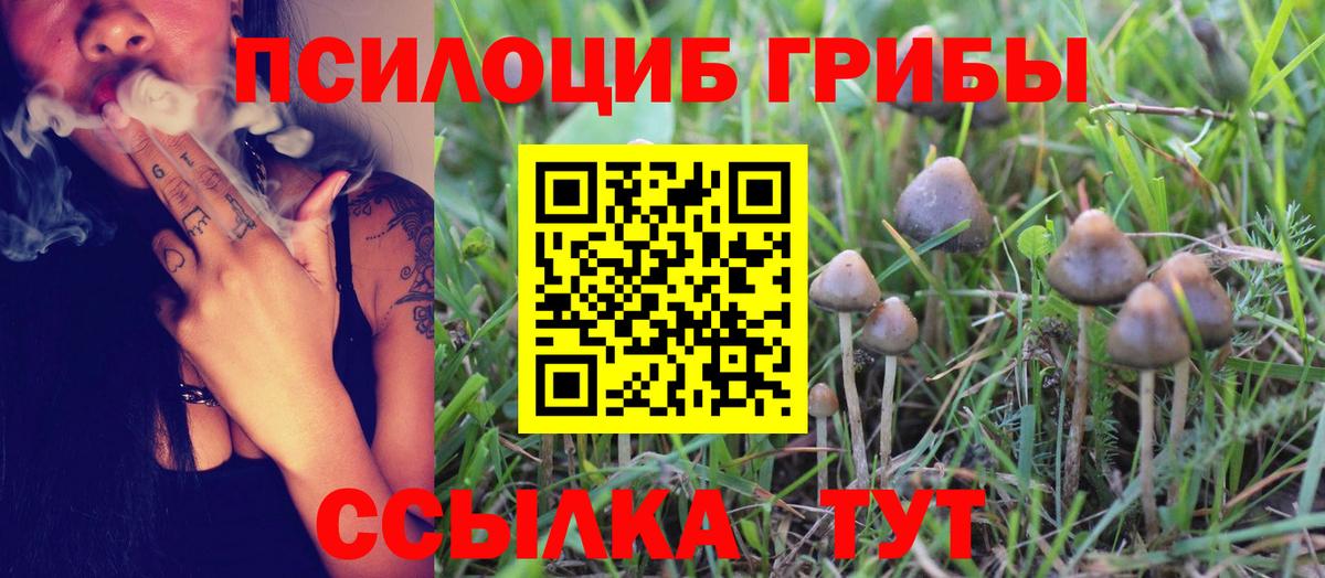 Североуральск  Галлюциногенные грибы прущие грибы  Галлюциногенные грибы MAGIC MUSHROOMS  Вход с VPN 